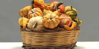 luciano ventrone meraviglia estasi proroga mostra al 6 gennaio