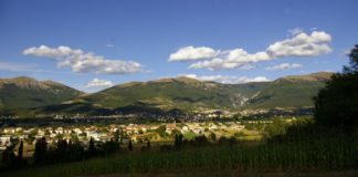 gualdo valore comune