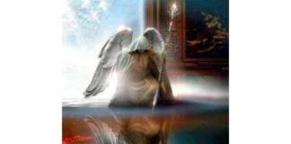 romanzo fantasy la foresta dei due mondi