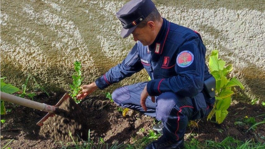 carabinieri forestali istituto bambin gesù 001