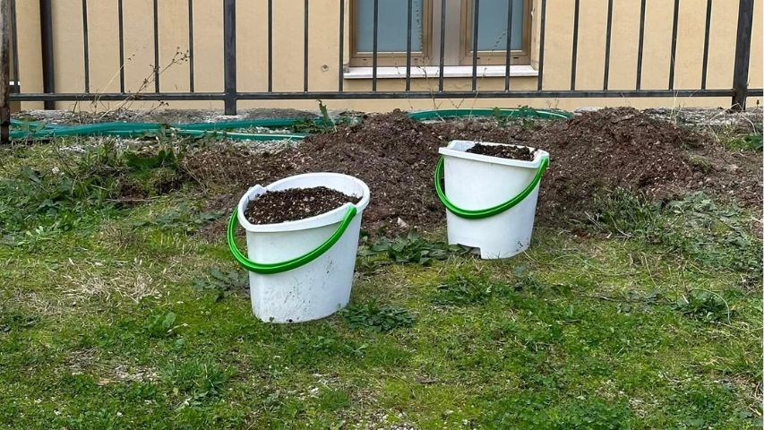 carabinieri forestali istituto bambin gesù 007