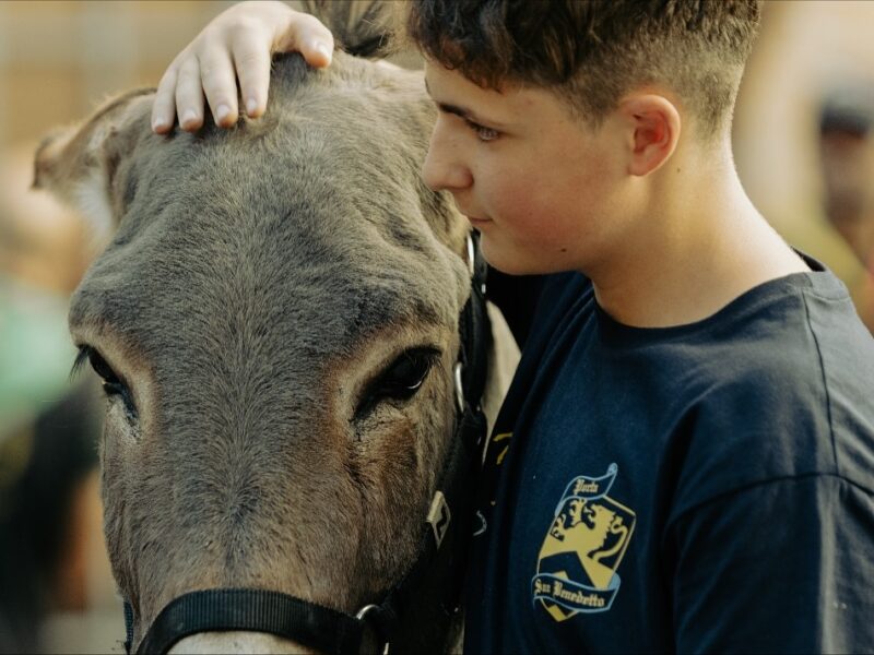 551313403_18532264876034653_3936675629462705009_n