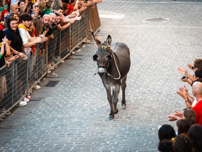 551865777_18532264888034653_1963593202766334986_n