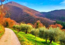 A Gualdo Tadino uno splendido itinerario culturale e paesaggistico per la festività di Ognissanti