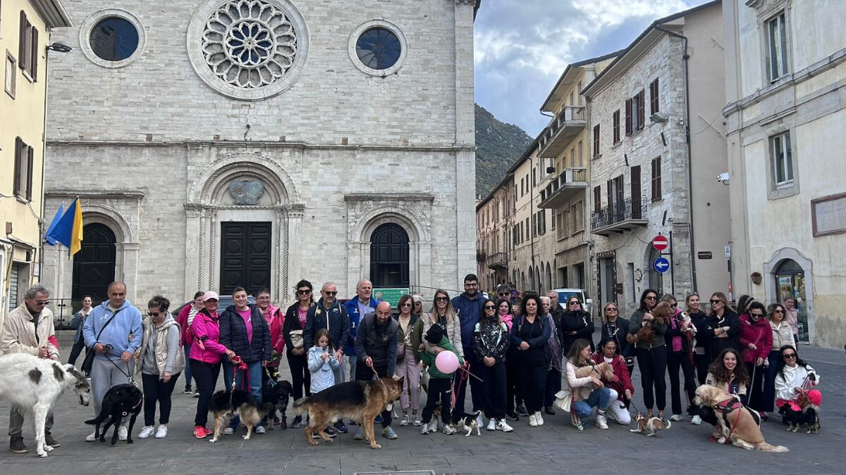 passeggiata a 4 zampe 2025