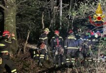 Deltaplanista bloccato su un albero a 30 metri di altezza sul Cucco: recuperato da Vigili del Fuoco e Sasu