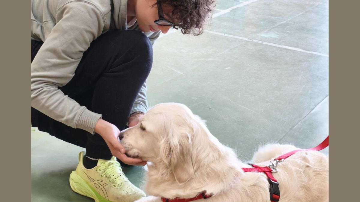 in cammino con le creature