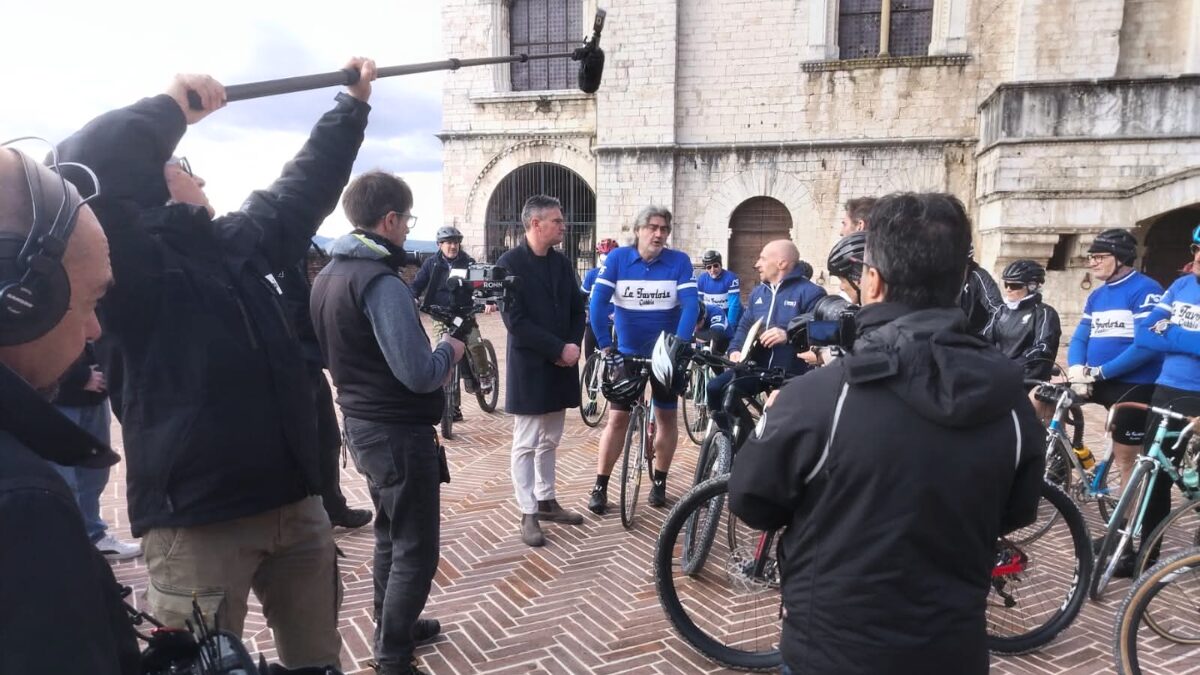 la favolosa - linea verde illumina