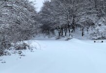 La neve apre le piste in Valsorda. Sabato e domenica tornano gli sport invernali sulla montagna gualdese