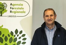 AFOR, boschi, agricoltura e servizi: il ruolo dell’Agenzia nell’intervista al presidente Anastasi