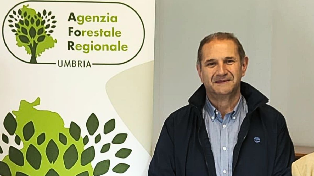 oriano anastasi afor