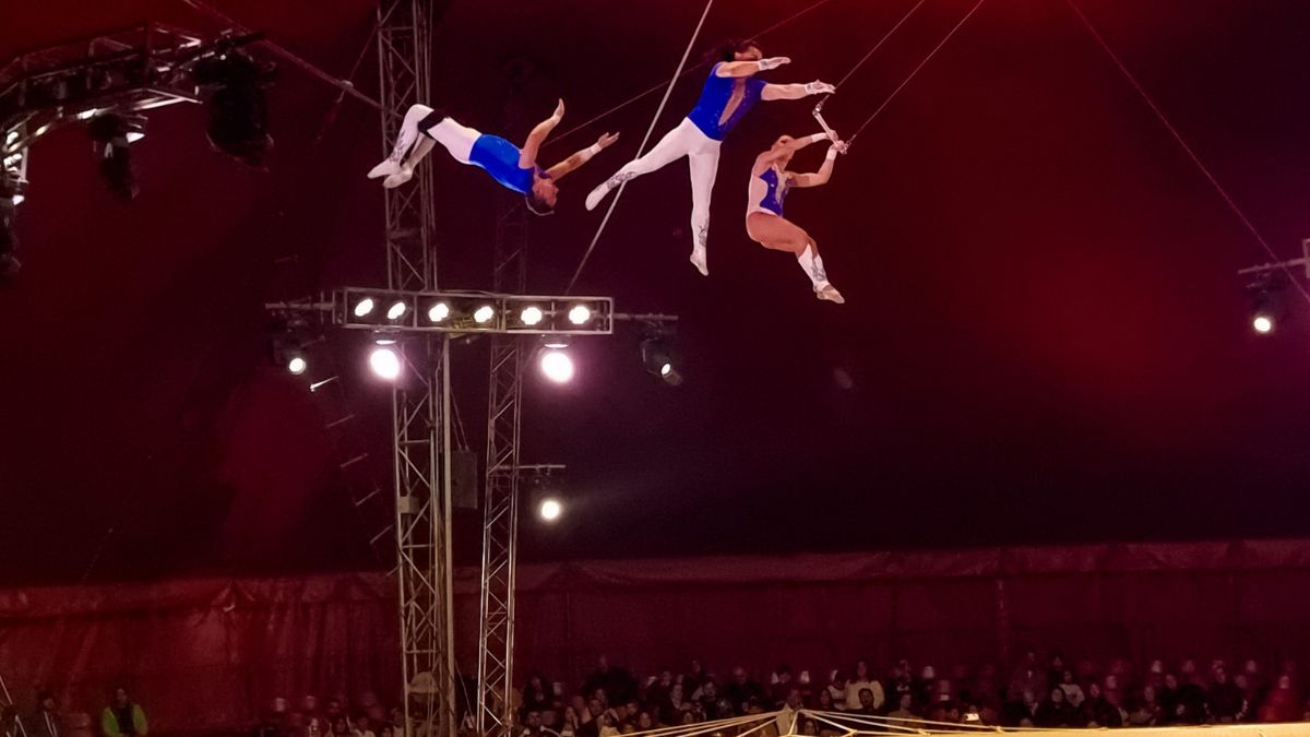 circo rolando orfei