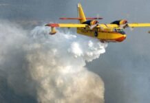 Incendio a Scheggia, rogo sotto controllo ma resta alta l’allerta: decine di ettari di bosco distrutti