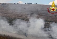 Incendio a Val di Ranco, danni contenuti al bosco ma 30 ettari in fumo