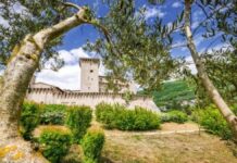 Filosofia e apicoltura alla Rocca Flea: dalle api di Mandeville alla degustazione del Miele dell’Orso