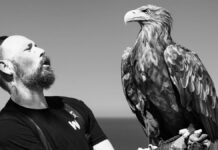 L’aquila Bon Bon ritrovata a Costacciaro, le lacrime del falconiere Gianluigi dopo giorni di ricerche