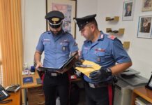 Nocera Umbra, denunciato per guida sotto effetto di stupefacenti e il ritrovamento di un coltello vietato